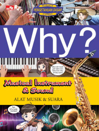 Image of Why? Musical Instrument & Sound